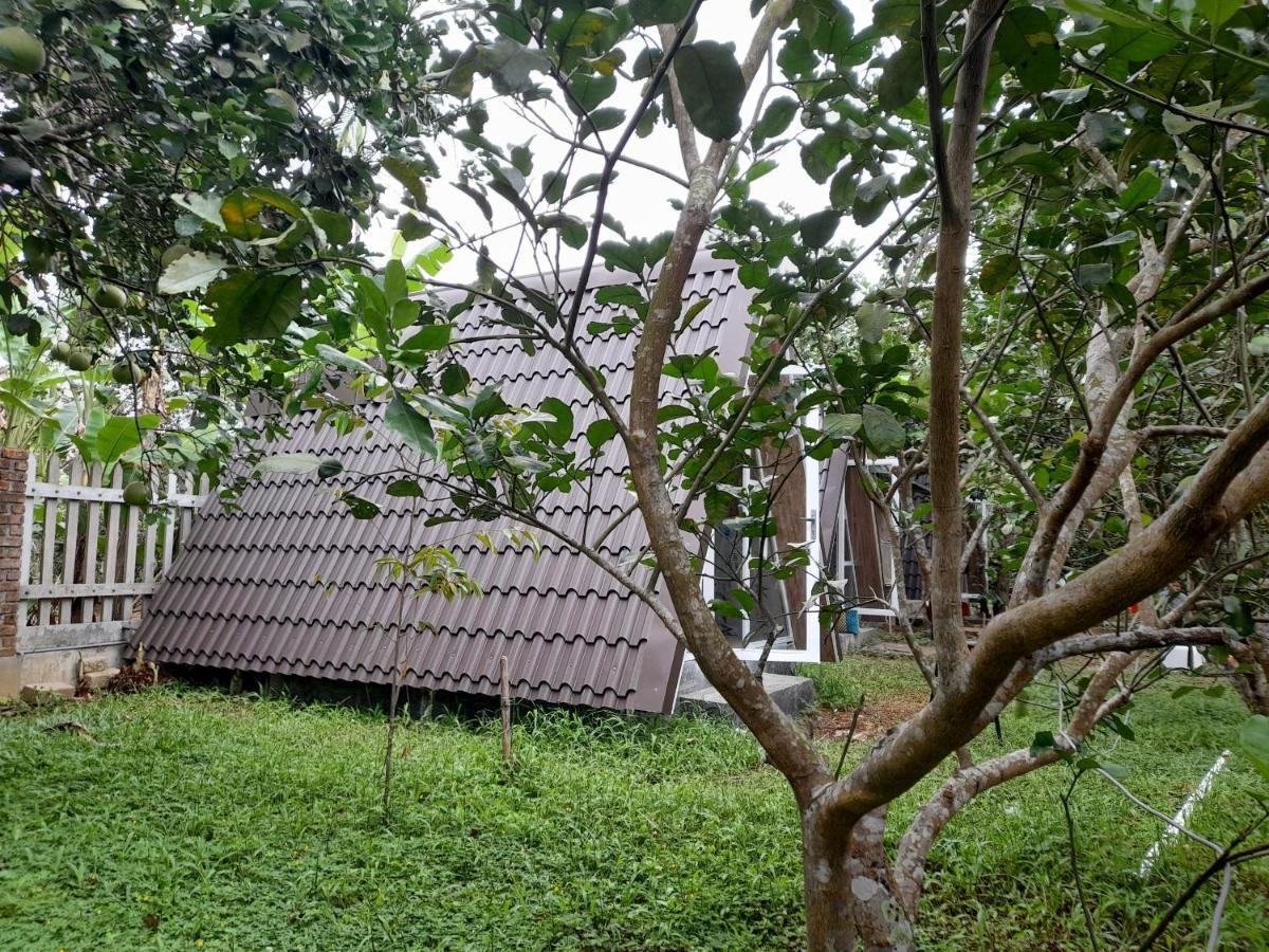 הואה Tam Tinh Vien Homestay מראה חיצוני תמונה