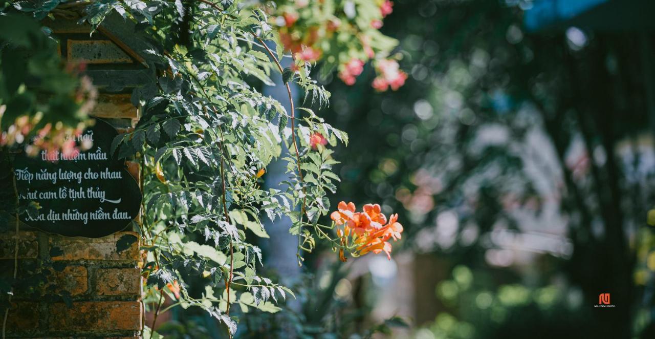 הואה Tam Tinh Vien Homestay מראה חיצוני תמונה