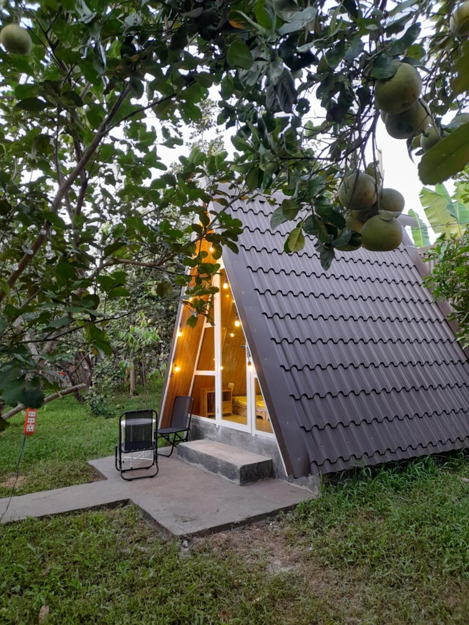הואה Tam Tinh Vien Homestay חדר תמונה