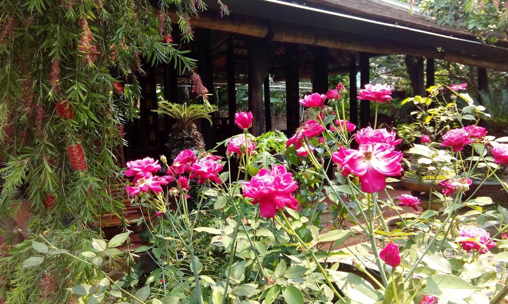 הואה Tam Tinh Vien Homestay מראה חיצוני תמונה