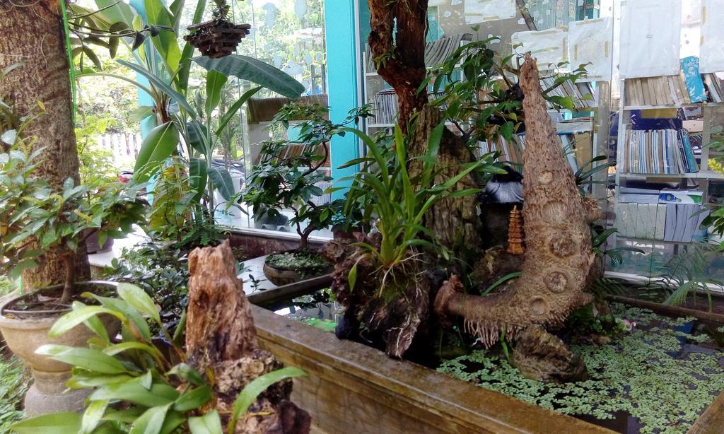 הואה Tam Tinh Vien Homestay מראה חיצוני תמונה