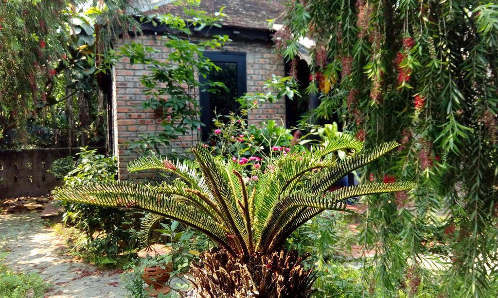 הואה Tam Tinh Vien Homestay מראה חיצוני תמונה