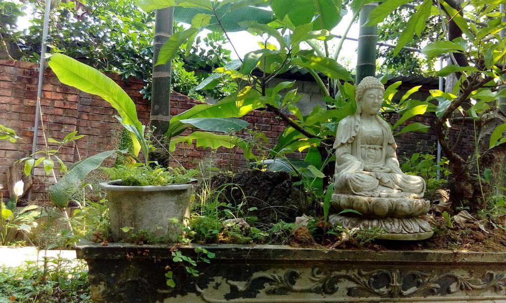 הואה Tam Tinh Vien Homestay מראה חיצוני תמונה