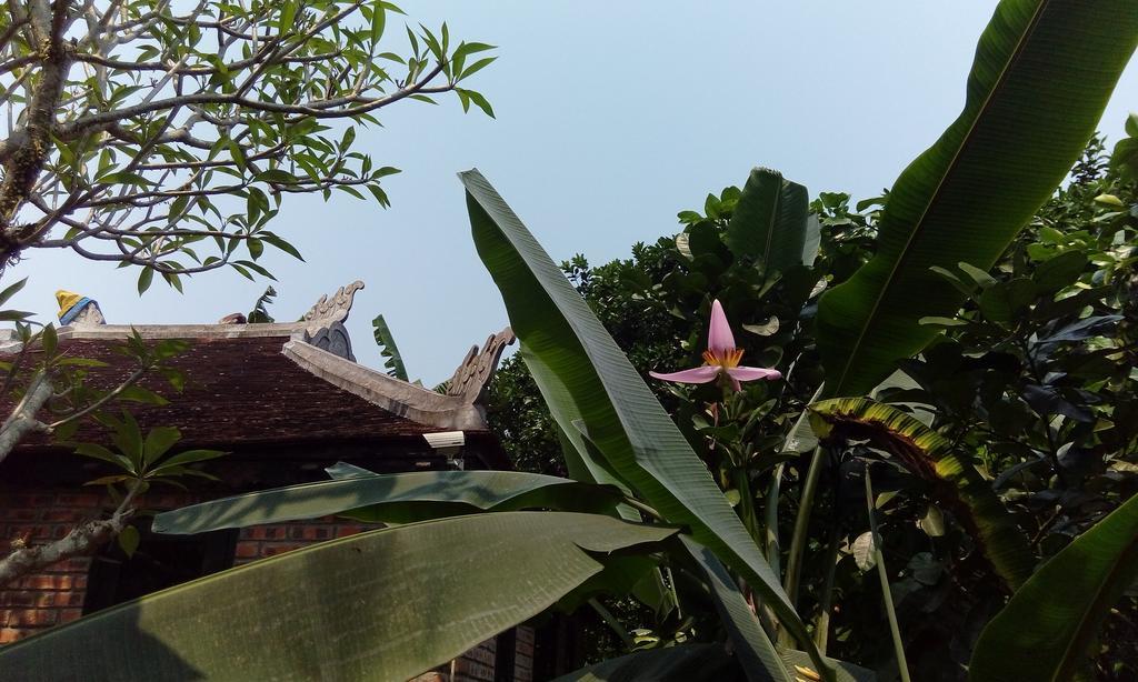 הואה Tam Tinh Vien Homestay מראה חיצוני תמונה